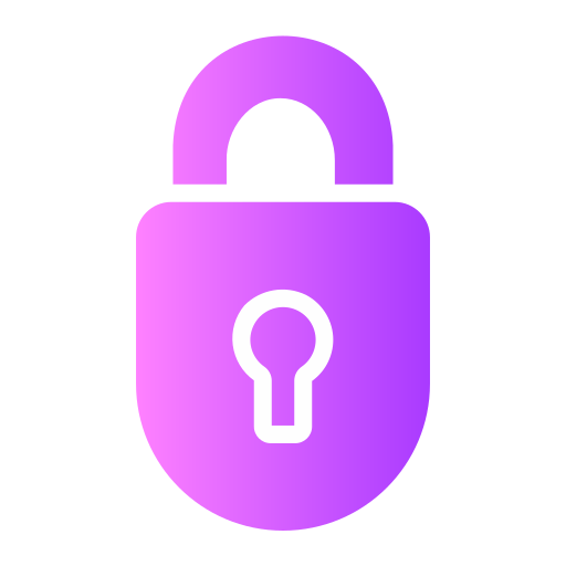 web security