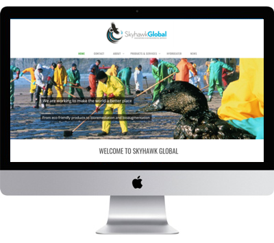 web design project London